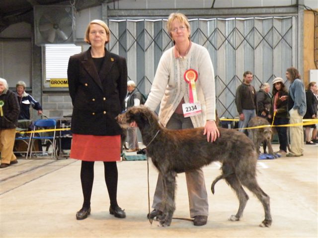 Best Puppy South Wales 2009